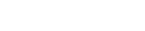 AURISTYL